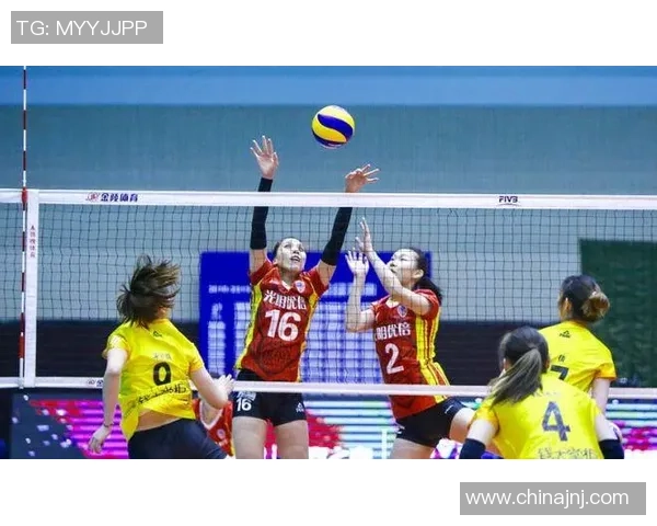 南京排球队强势领跑联赛积分榜68分稳居第一位置