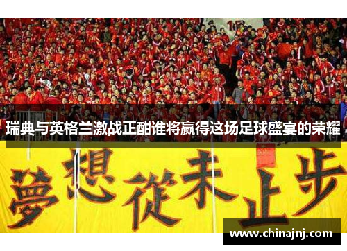 瑞典与英格兰激战正酣谁将赢得这场足球盛宴的荣耀